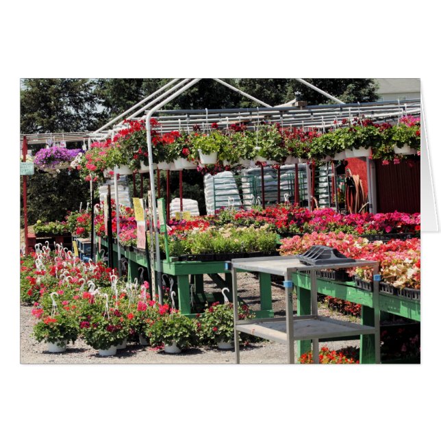magasin de fleurs (Devant Horizontal)