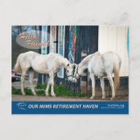 Magasin passionnant et carte postale Starlet de Be
