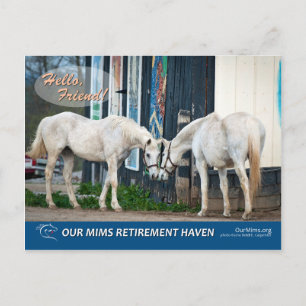 Magasin passionnant et carte postale Starlet de Be