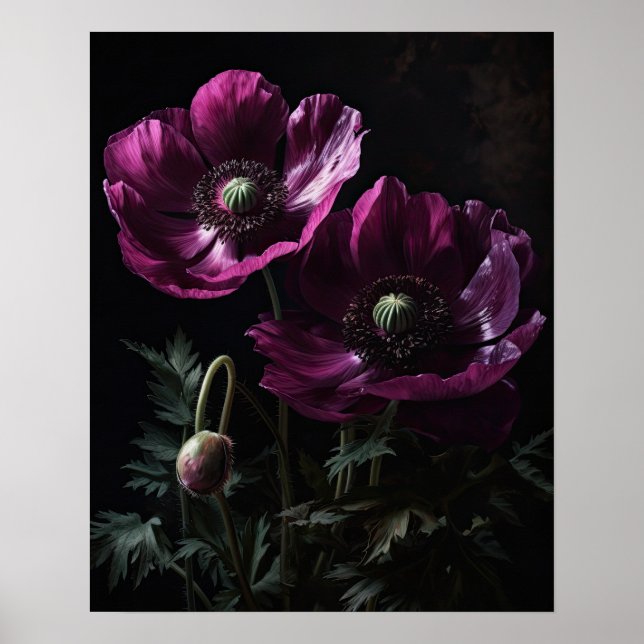Magenta Anemone Fleurs Art Imprimer Poster (Devant)