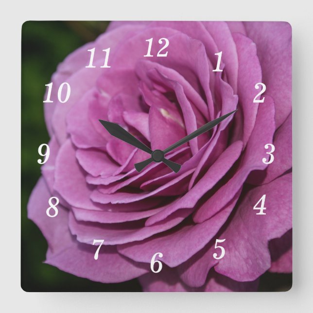 Magenta Garden Rose Horloge murale (Recto)