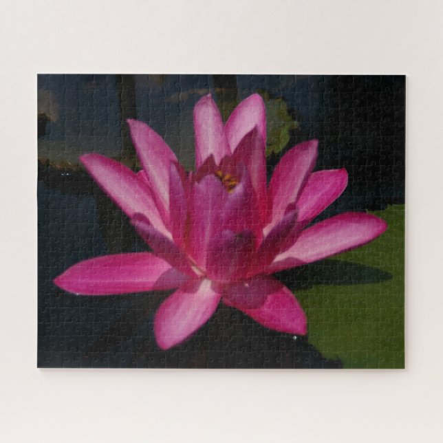 Magenta Waterlily Jigsaw Puzzle (Horizontal)