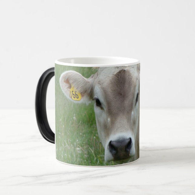 Magic Belle Mug de vache Jersey (Devant gauche)