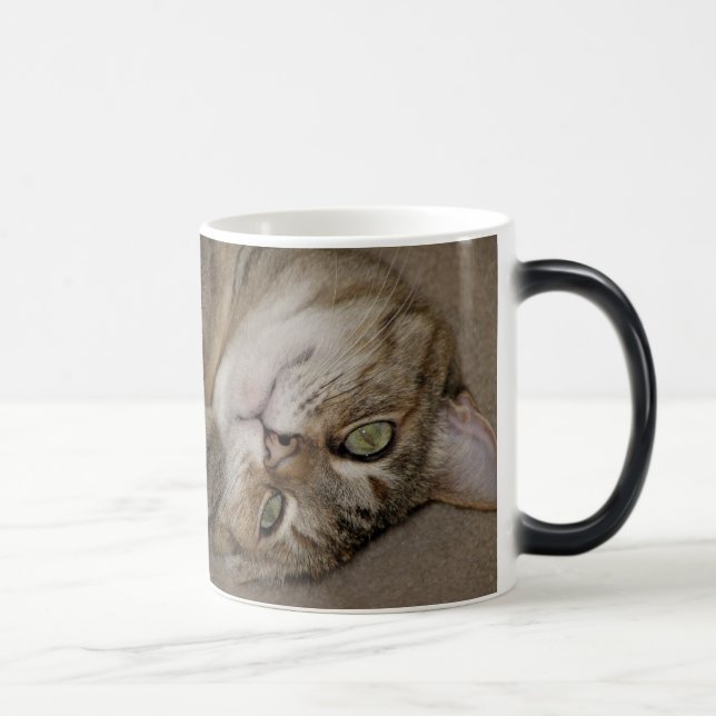 Magic Cute Kitty Morph Mug (Droite)