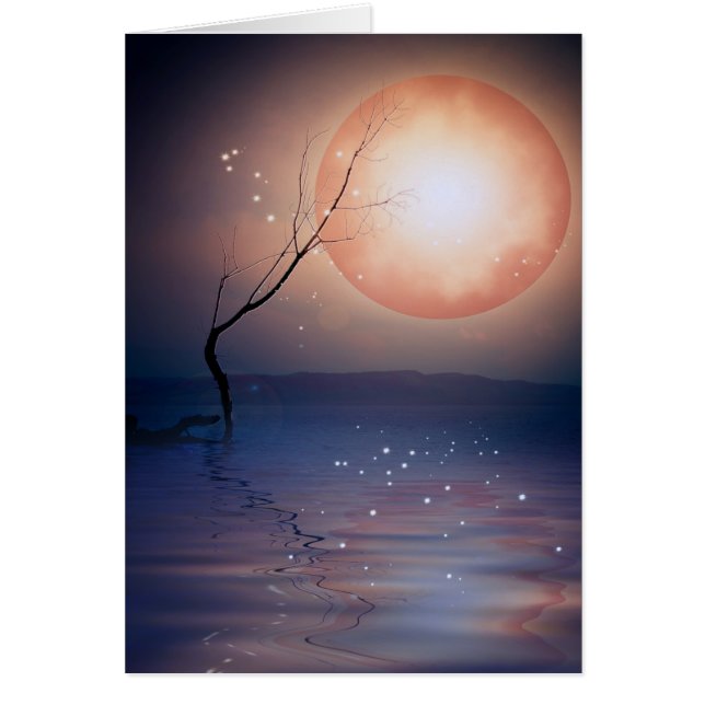 magic-moon.png (Devant)