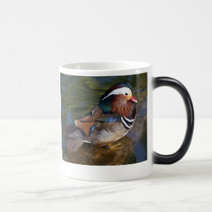 Magic mug en céramique métamorphosant canard mandarin