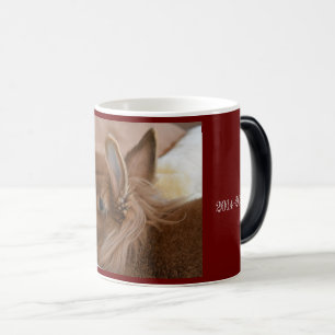 Magic Mug Mémorial Capitaine Carrotpants/Borys