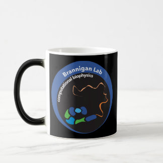Magic PDI Mug