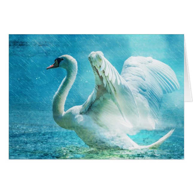 Magical Swan (Devant horizontal)