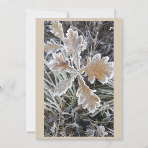 "Magie de l'hiver – Invitation avec feuille glacé