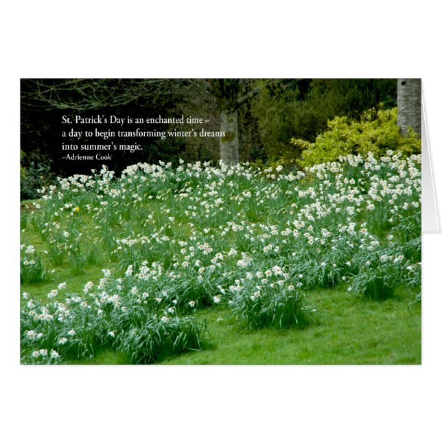 Magie irlandaise d'été (Devant horizontal)