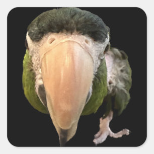 magique mikey super stickers