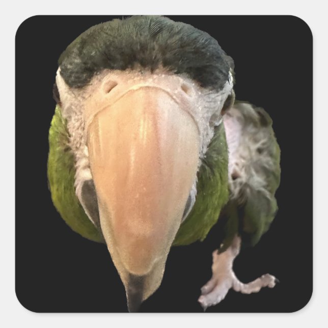 magique mikey super stickers (Devant)