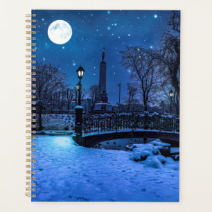 Magique nuit d'hiver avec ciel étoilé et pleine lu