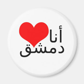 Magnet