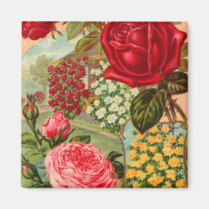 Magnet 12 du catalogue des semences