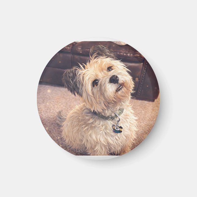 Magnet Adorable Terrier Puppy (Devant)