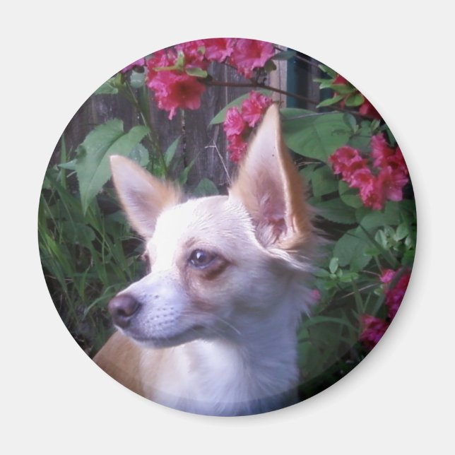 Magnet "Ajouter votre propre photo" (Devant)