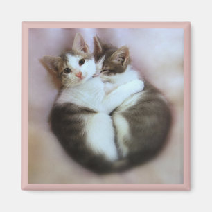 Magnet Amoureux des chats