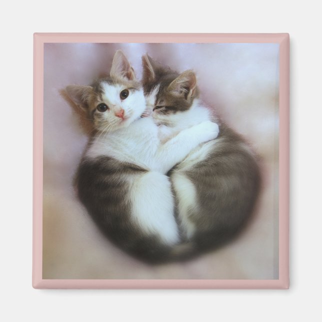 Magnet Amoureux des chats (Devant)