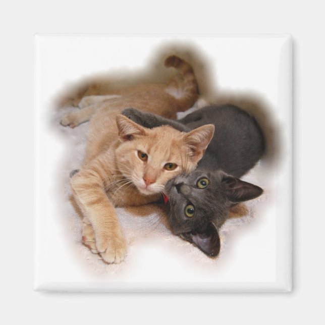 Magnet Amoureux des chats (Devant)