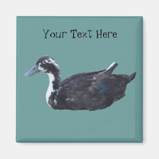 Magnet animal de ferme de canard noir mou
