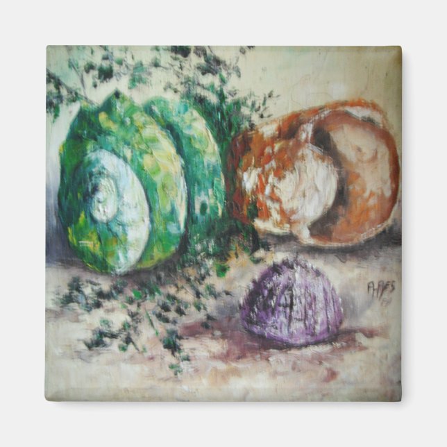Magnet Ann Hayes Peinture Coques de mer (Devant)