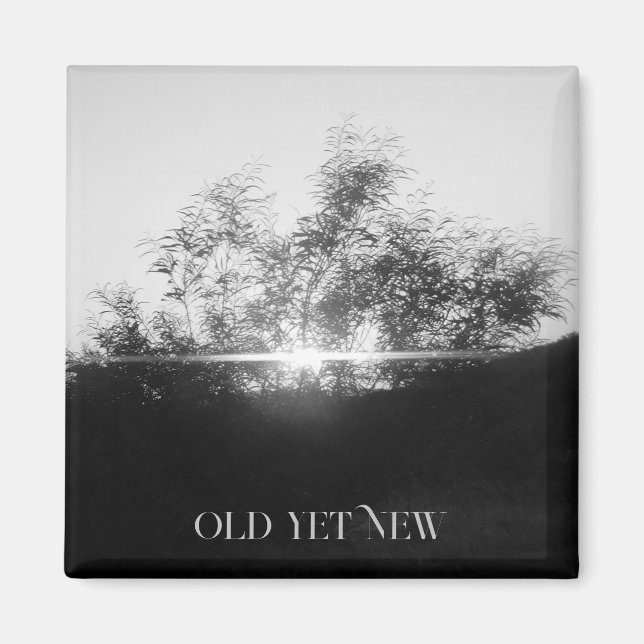 MAGNET ART & DÉCORATION  (Devant)