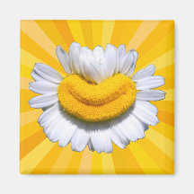 Magnet Auréole de Sourire de Camomille Dorée Joyeu