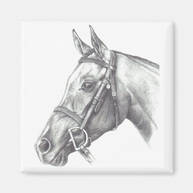 MAGNET AVEC TÊTE CHEVAUCHÉE (Devant)