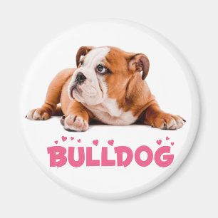 Magnet avec un chiot Bouledogue Anglais et un cœur