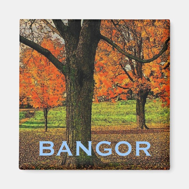Magnet Bangor (Devant)
