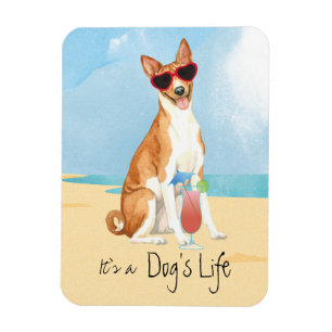 Magnet Basenji été