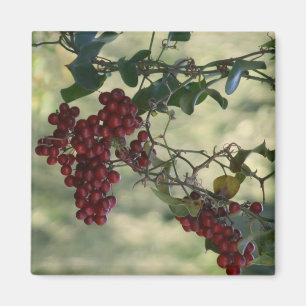 Magnet Berry