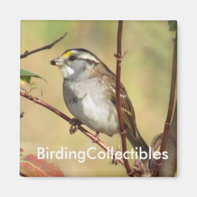 Magnet BirdingCollectibles (Devant)