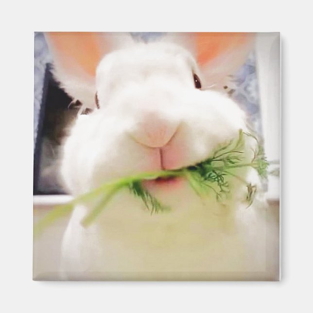 Magnet Bunny (Devant)