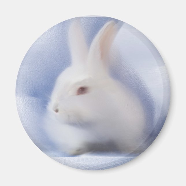 Magnet Bunny (Devant)