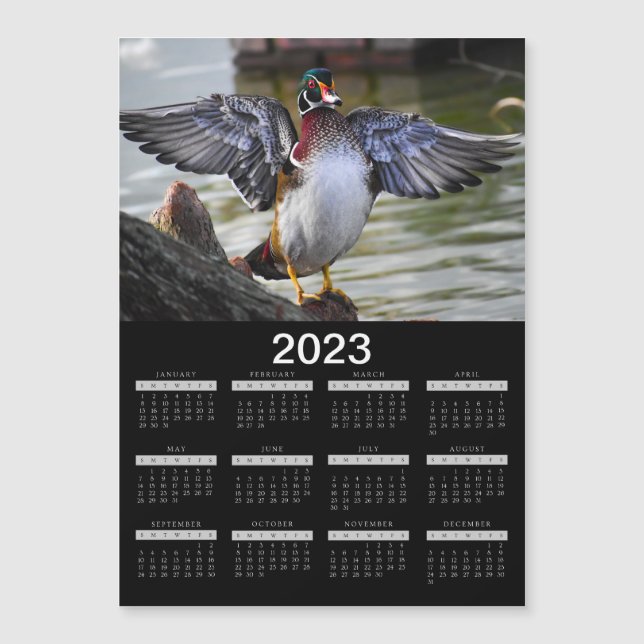 Magnet Calendar 2023 Beau canard en bois (Devant)