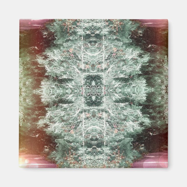 Magnet 'Capture' (Devant)