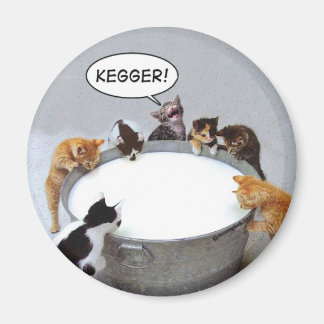 Magnet Cat Kegger
