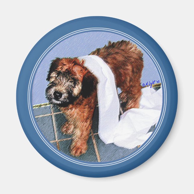 Magnet : "Ce n'était pas moi !" (Devant)