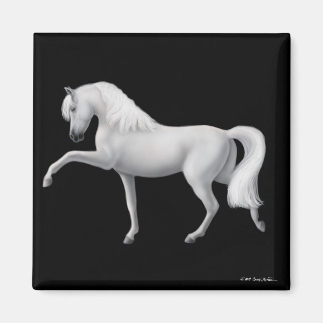 Magnet cheval andalou blanc (Devant)