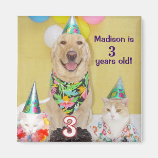 Magnet d'anniversaire 3e