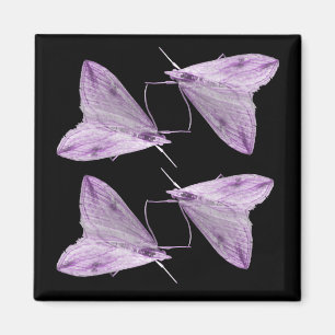 Magnet d'art mauve