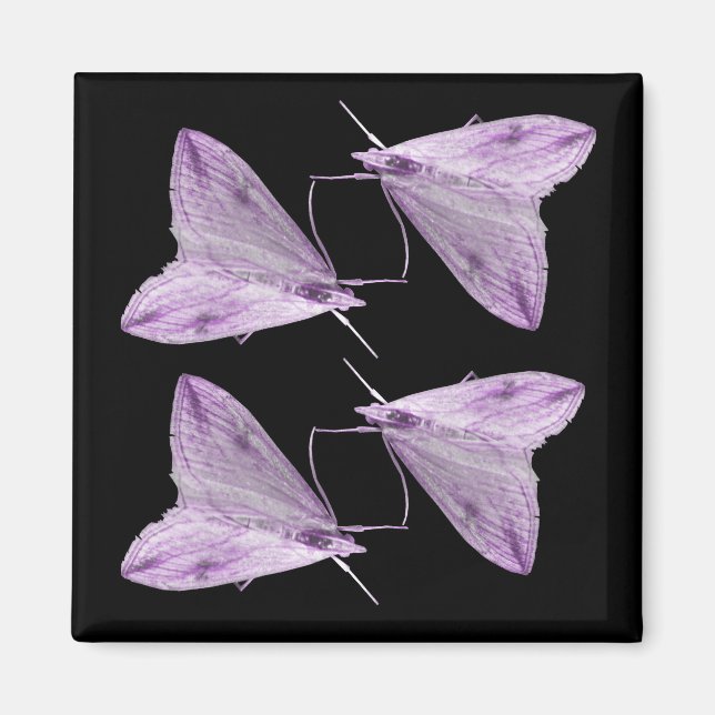 Magnet d'art mauve (Devant)