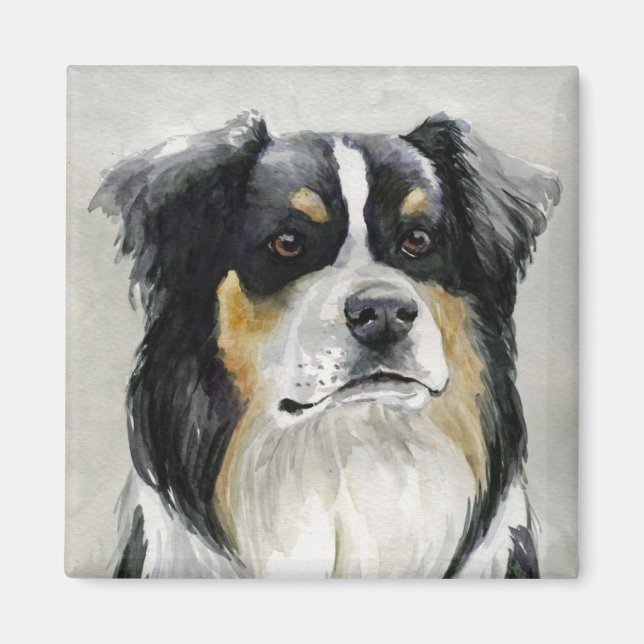 Magnet d'art pour chien berger australien (Devant)