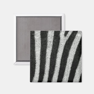 Magnet de bandes Zebra