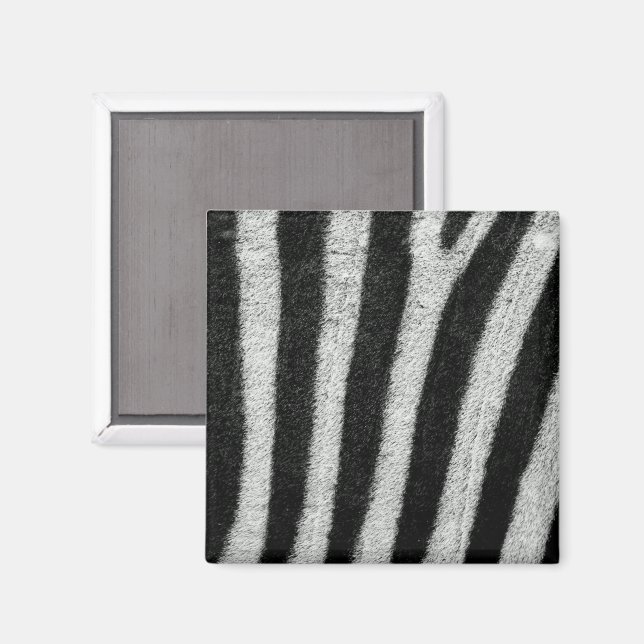 Magnet de bandes Zebra (Recto/Verso)