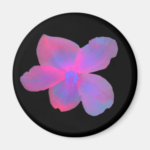 Magnet de Begonia fluorescent