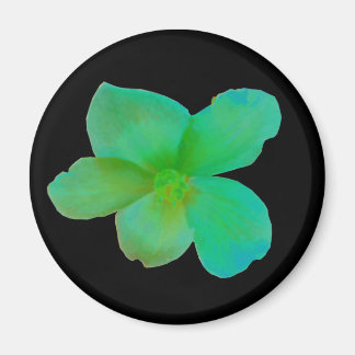 Magnet de Begonia vert